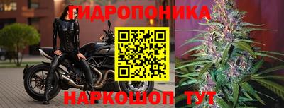 соль ск Волжск