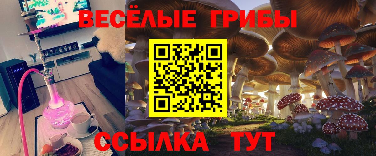 Псилоцибиновые грибы ЛСД Можайск