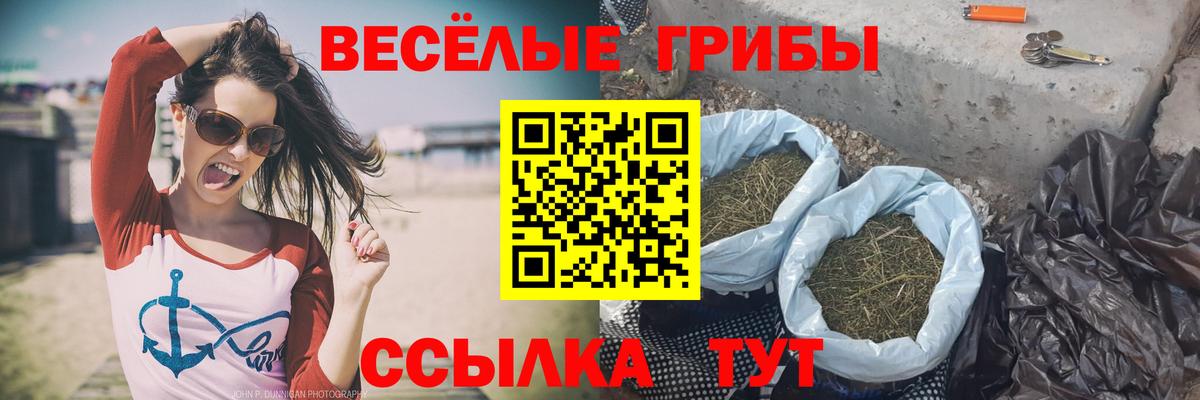 Псилоцибиновые грибы Psilocybe  Вход с VPN  Можайск 